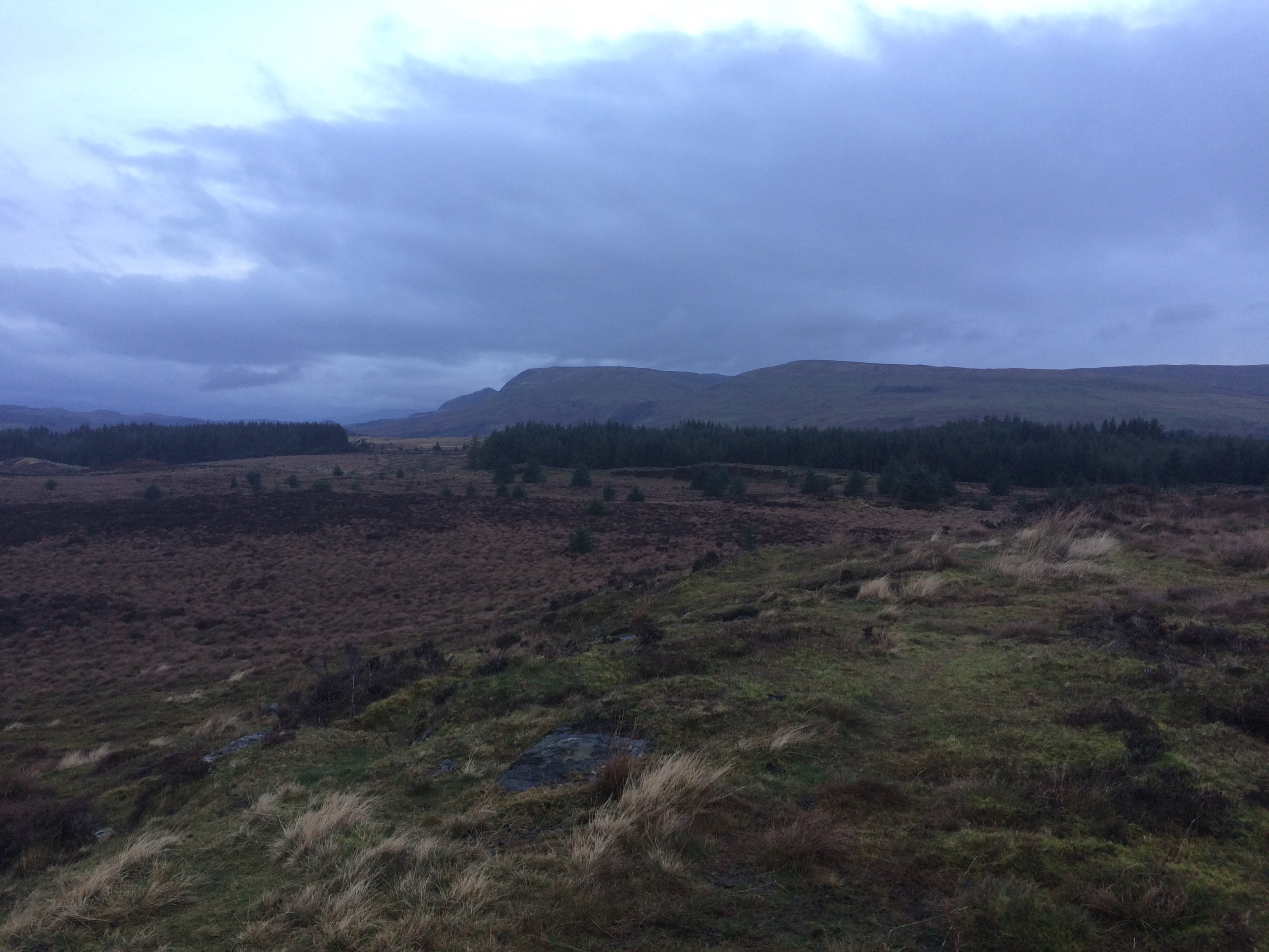 Happy Hill, not so bright but very early, Christmas Day